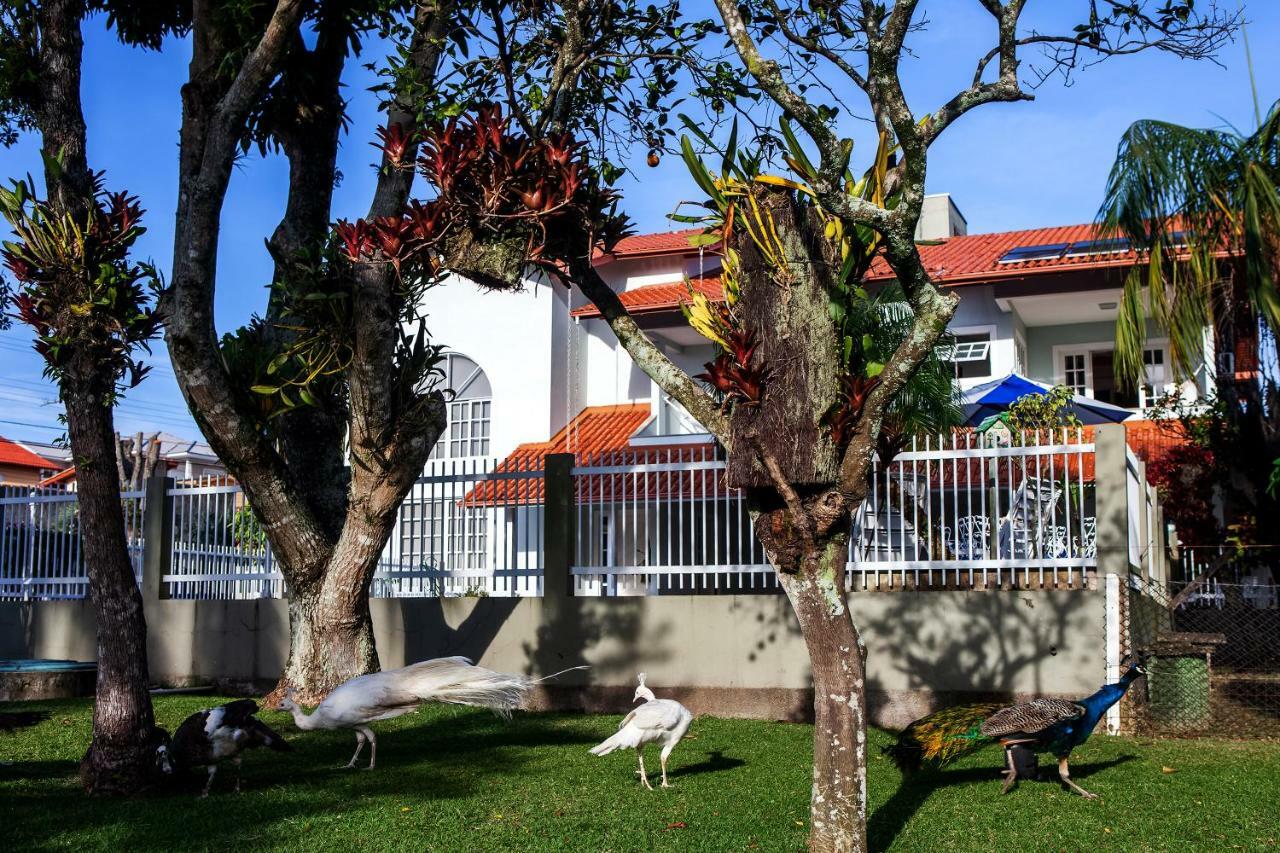 Pousada Pavao Branco Florianópolis Εξωτερικό φωτογραφία